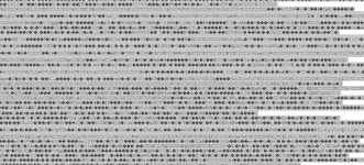 Screenshot 2023-01-23 123443.png Screenshot 2023-01-23 123443.png