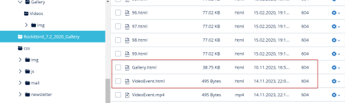 2023-11-14 22_16_11-IONOS - Webspace Explorer.png