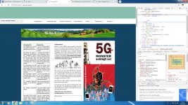 Banner über die Navigation.jpg